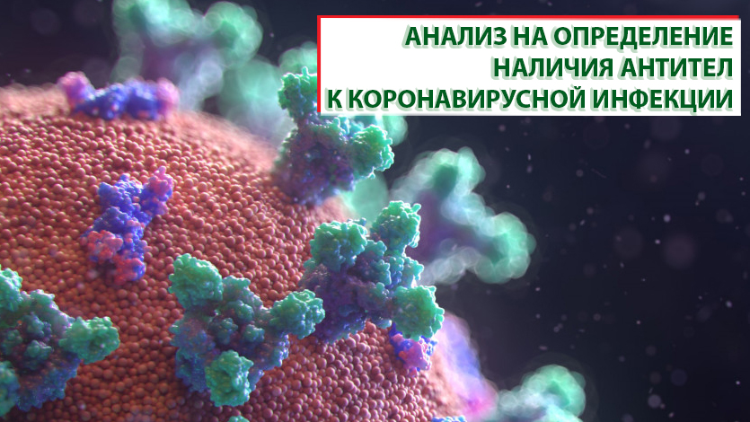 Обновление: Анализ на определение наличия антител к коронавирусной инфекции